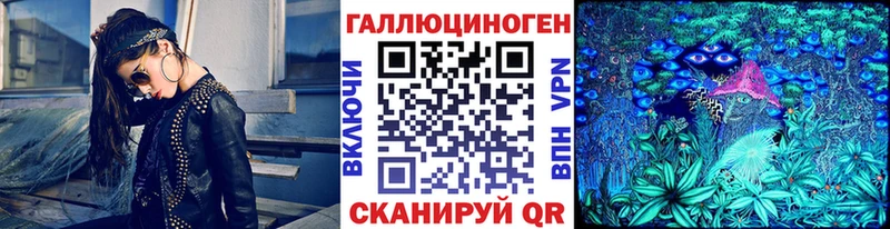 сайты даркнета клад  omg ONION  Щёлкино  купить   Псилоцибиновые грибы Psilocybe 